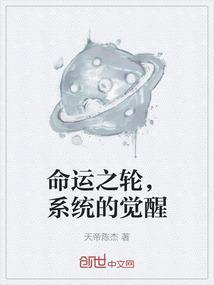 命运之轮建议