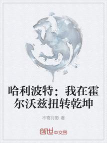 哈利波特之在霍格沃茨当教授
