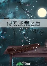 侍妾穿越