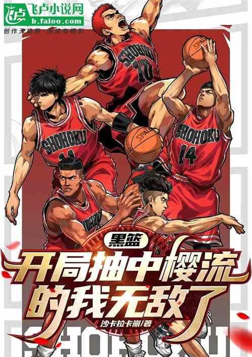黑篮之开局进入zone白夜