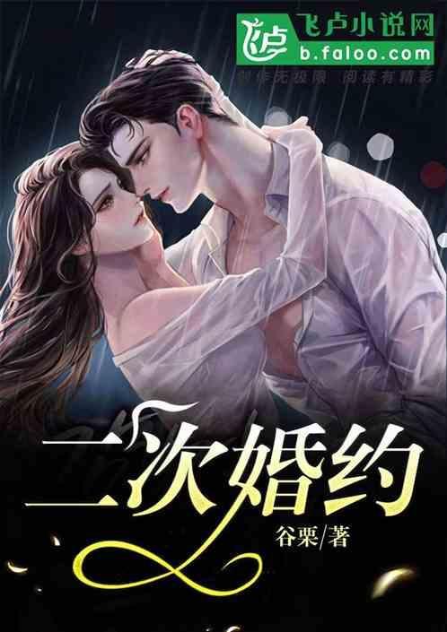 二次婚姻叫什么