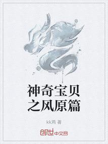 神奇宝贝之丰源冠军