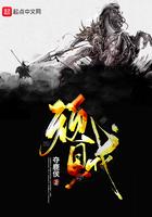 顽贼精校txt