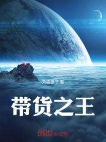 带货王第一名