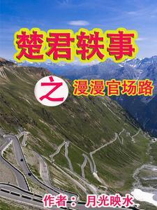 楚君的诗句