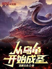 从龟开始的进化