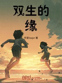 双生简介