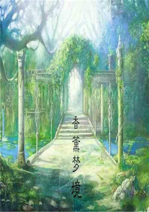 香薰展示