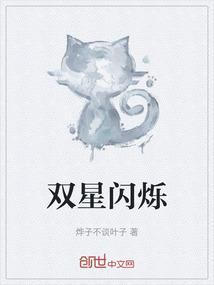 闪翼双星开头