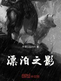 漂泊之情