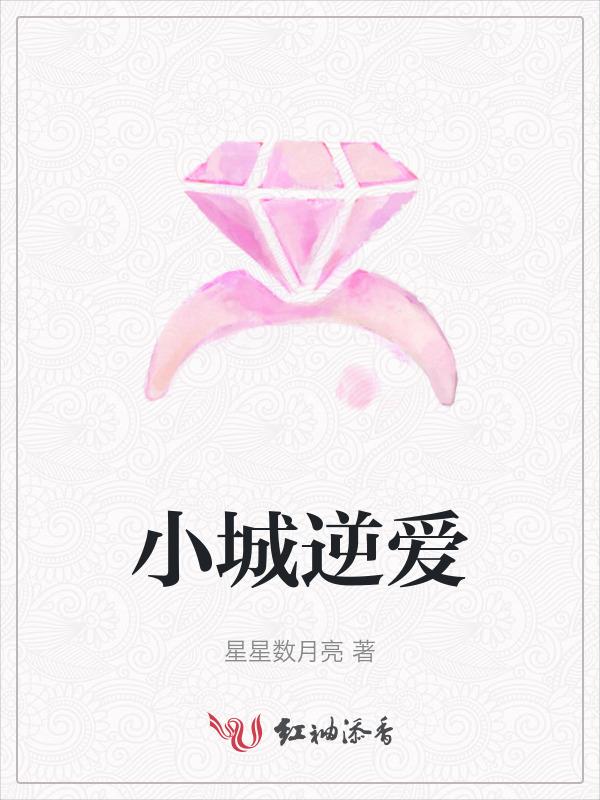 小城全文免费阅读 新闻