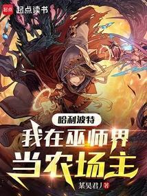 哈利波特巫师