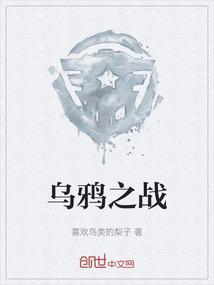 乌鸦之殇 raven touch 电影