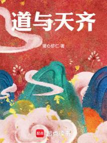 道与天齐txt电子书