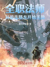 从全职法师开始选择