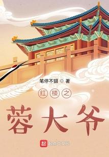 红楼之荣府阁老