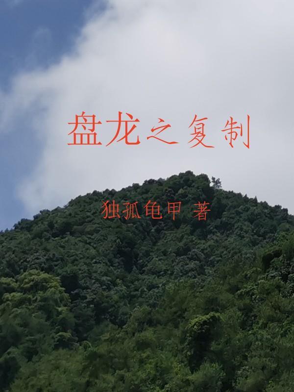 盘龙之时