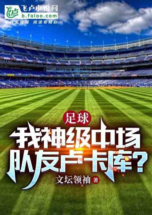 卢卡库在中超效力过吗