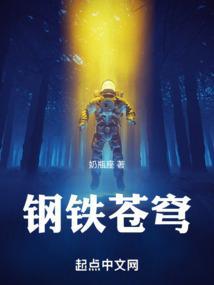 钢铁苍穹2高清免费完整版在线观看