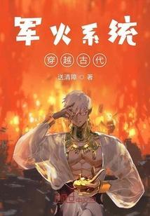 军火系统穿越古代txt