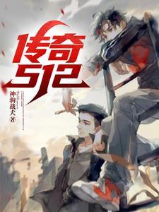 传奇510是什么车