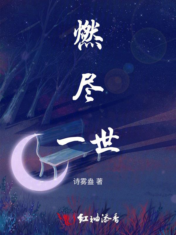燃尽生命什么意思