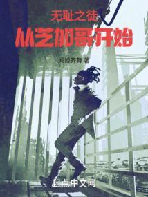 无耻之徒从芝加哥开始看