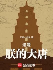 大唐的圣人