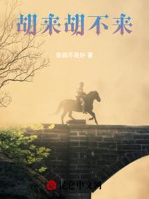 胡来汉来