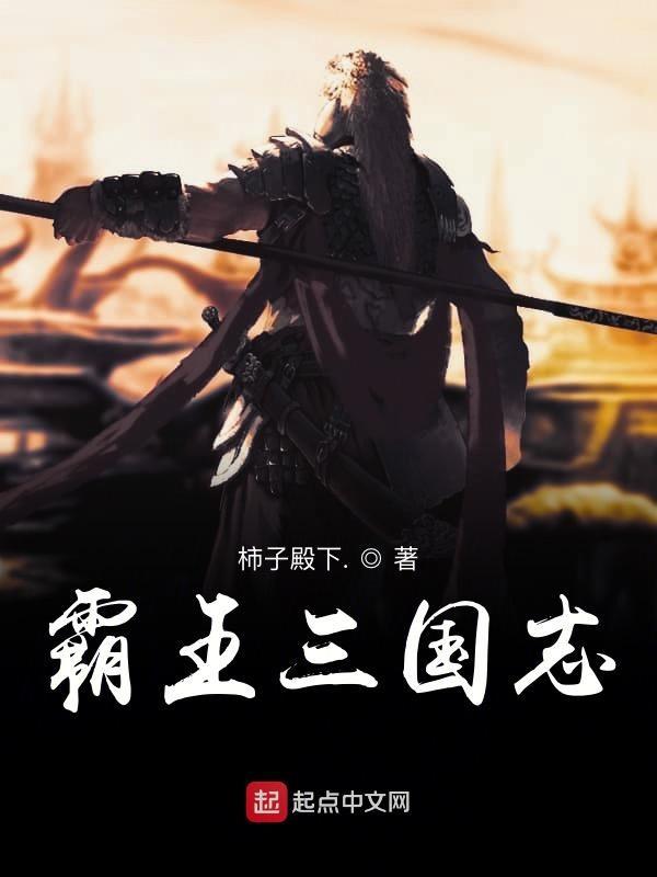 md霸王三国志攻略