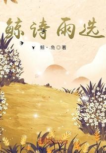 鲸的诗意词语