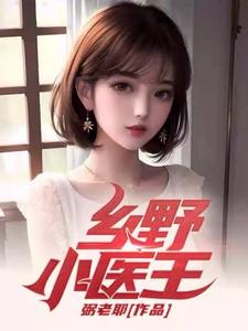 乡野小神医王昊