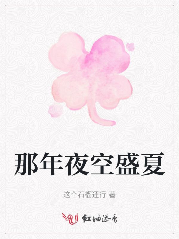 那年夏天的夜晚