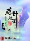 流浪者荒野