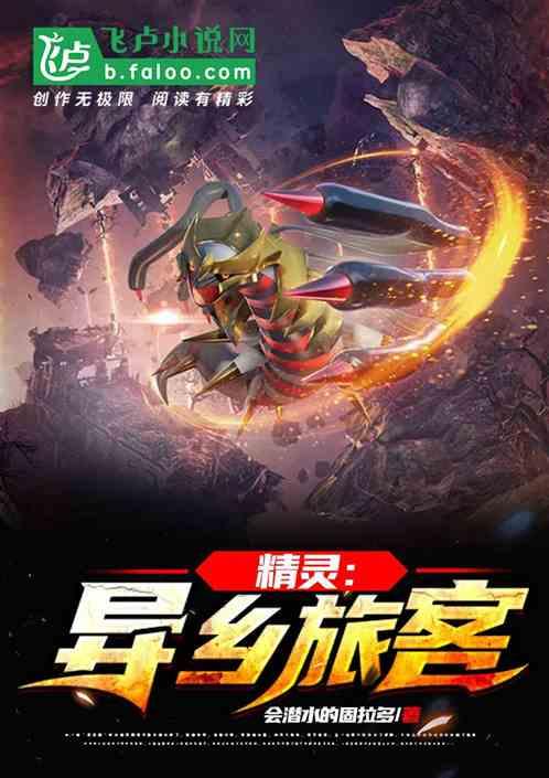 精灵之路全文阅读