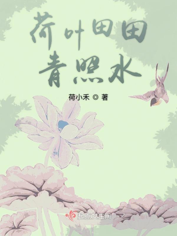 荷叶田田青照水是什么意思