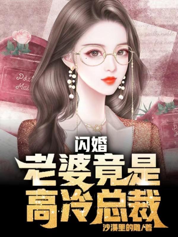 闪婚老公竟是总裁