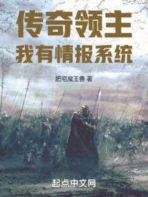 领主传奇手游兑换码