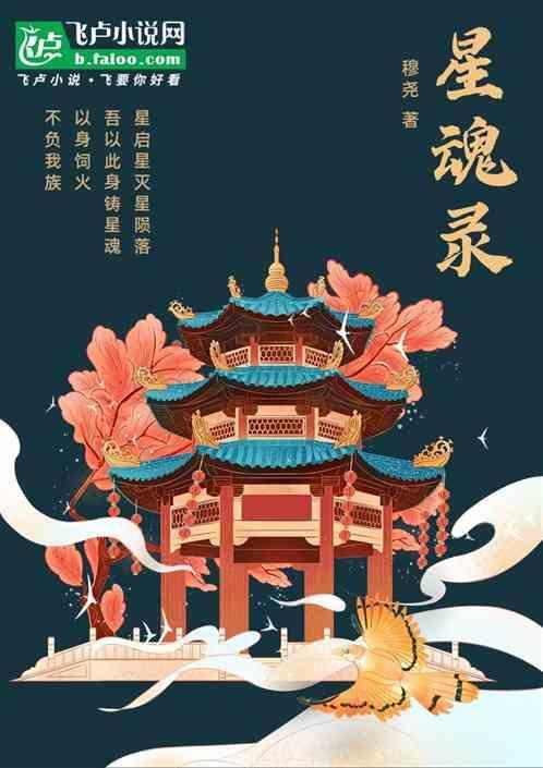 星魂录播