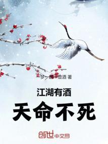 作者江湖有酒