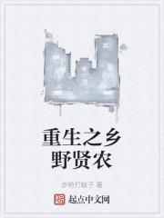 重生之乡野贤农TXT