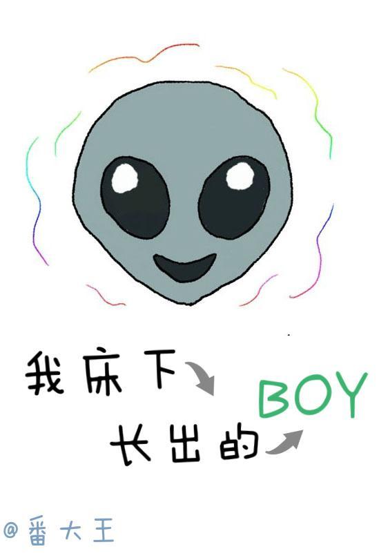 床底下有好多小虫子