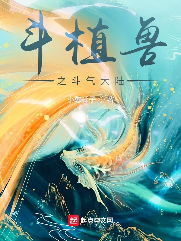 斗气大陆是什么意思