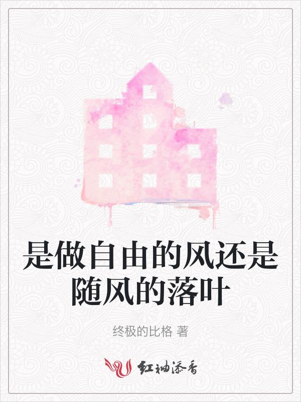 随风飘荡自由是方向是什么歌