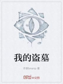 我的盗墓生涯张萌和叶九什么关系