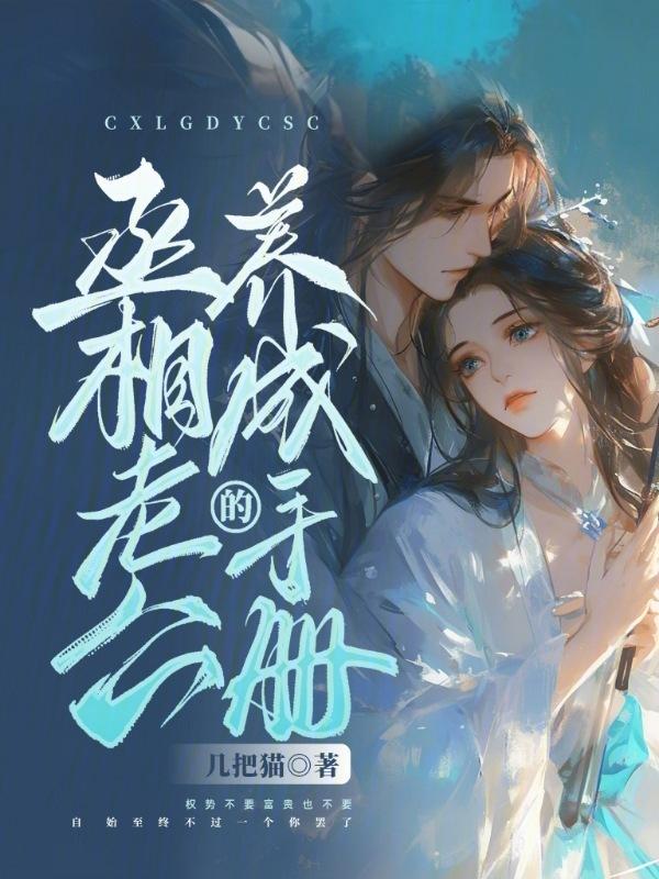 丞相的养成手册
