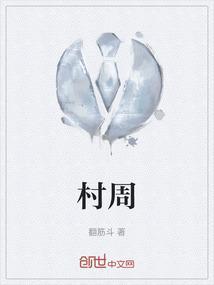 村周例会总结