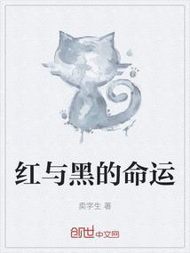 红与黑 下