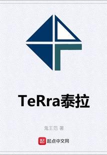 泰拉是啥意思