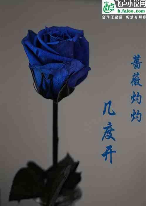 蔷薇hid